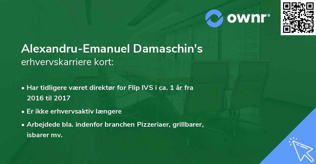 Alexandru-Emanuel Damaschin's erhvervskarriere kort