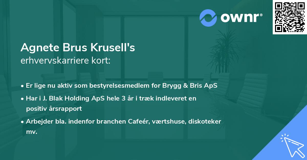 Agnete Brus Krusell's erhvervskarriere kort