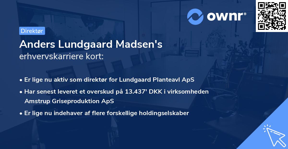 Anders Lundgaard Madsen's erhvervskarriere kort