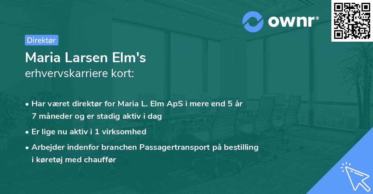 Maria Larsen Elm's erhvervskarriere kort