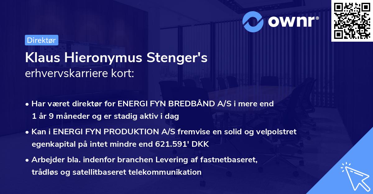 Klaus Hieronymus Stenger's erhvervskarriere kort