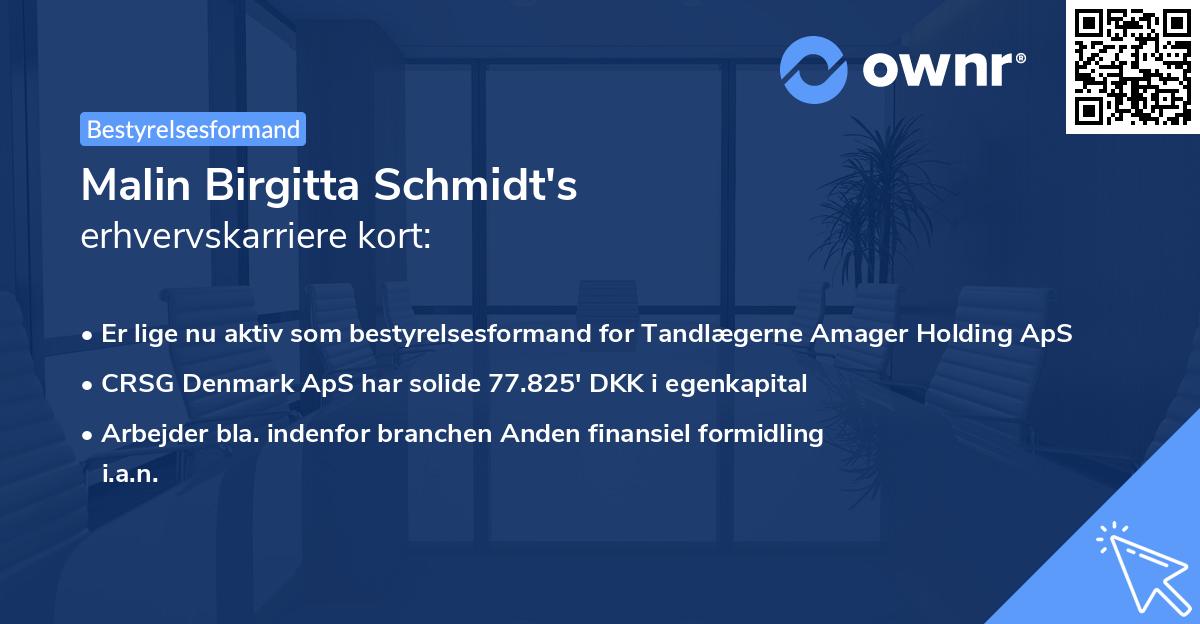 Malin Birgitta Schmidt's erhvervskarriere kort