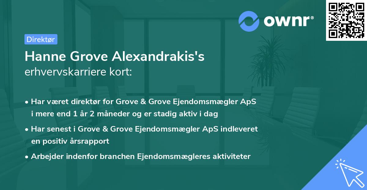 Hanne Grove Alexandrakis's erhvervskarriere kort