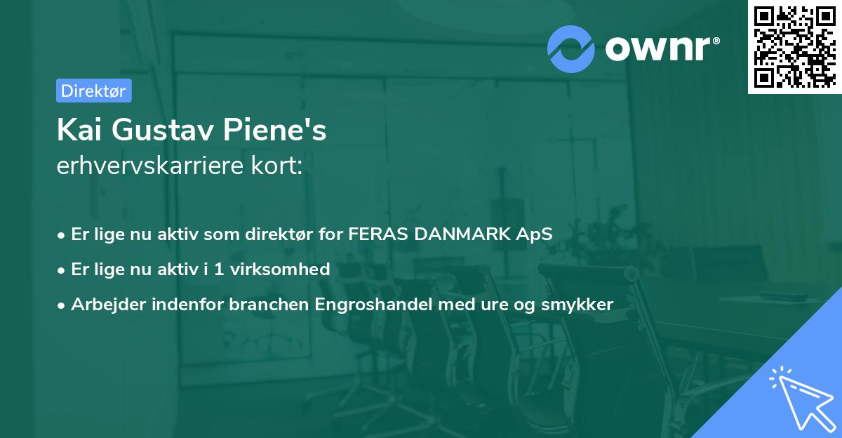 Kai Gustav Piene's erhvervskarriere kort