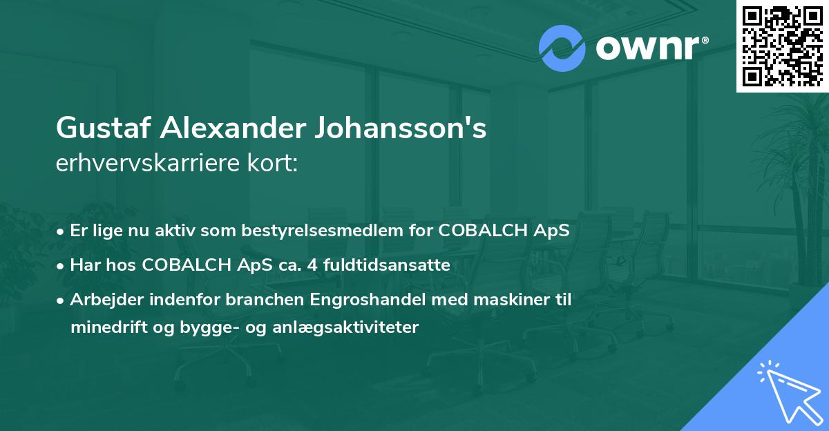 Gustaf Alexander Johansson's erhvervskarriere kort