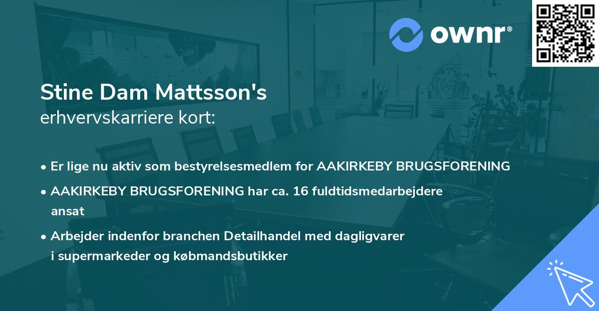 Stine Dam Mattsson's erhvervskarriere kort