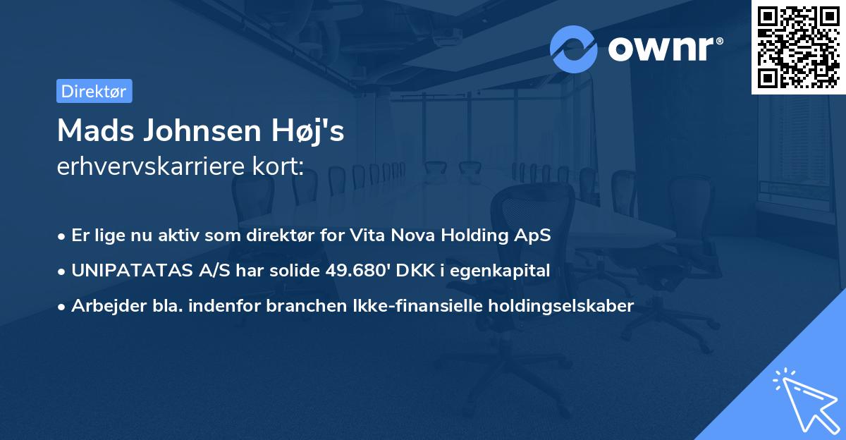 Mads Johnsen Høj's erhvervskarriere kort