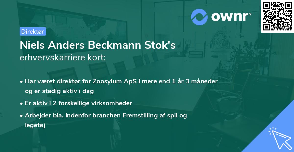 Niels Anders Beckmann Stok's erhvervskarriere kort
