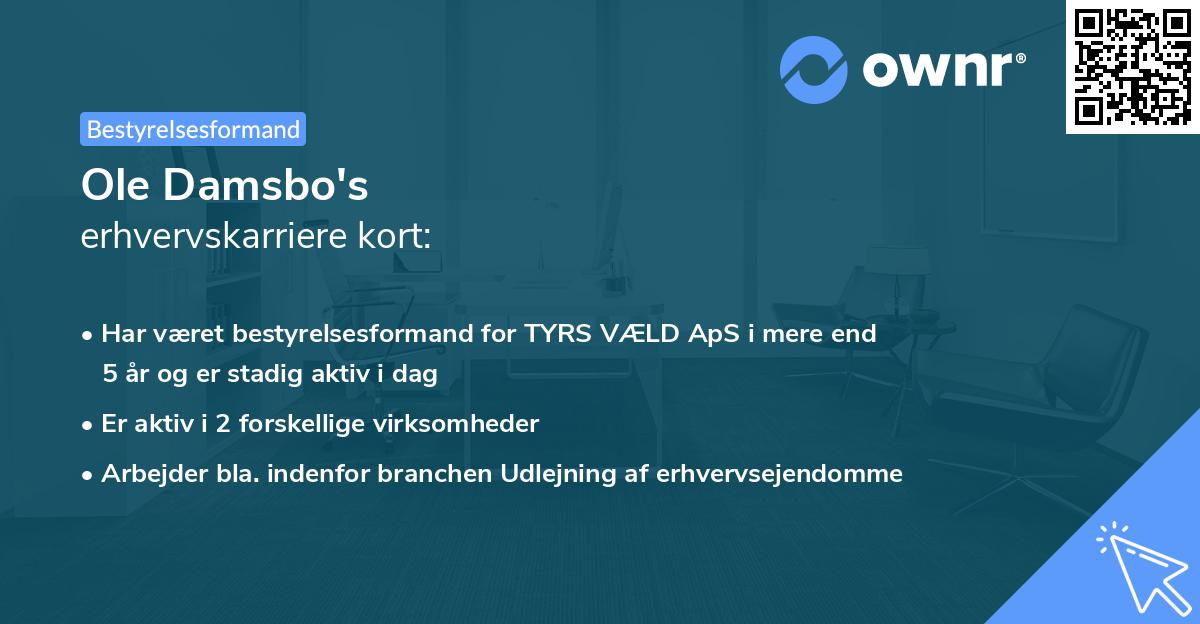 Ole Damsbo's erhvervskarriere kort