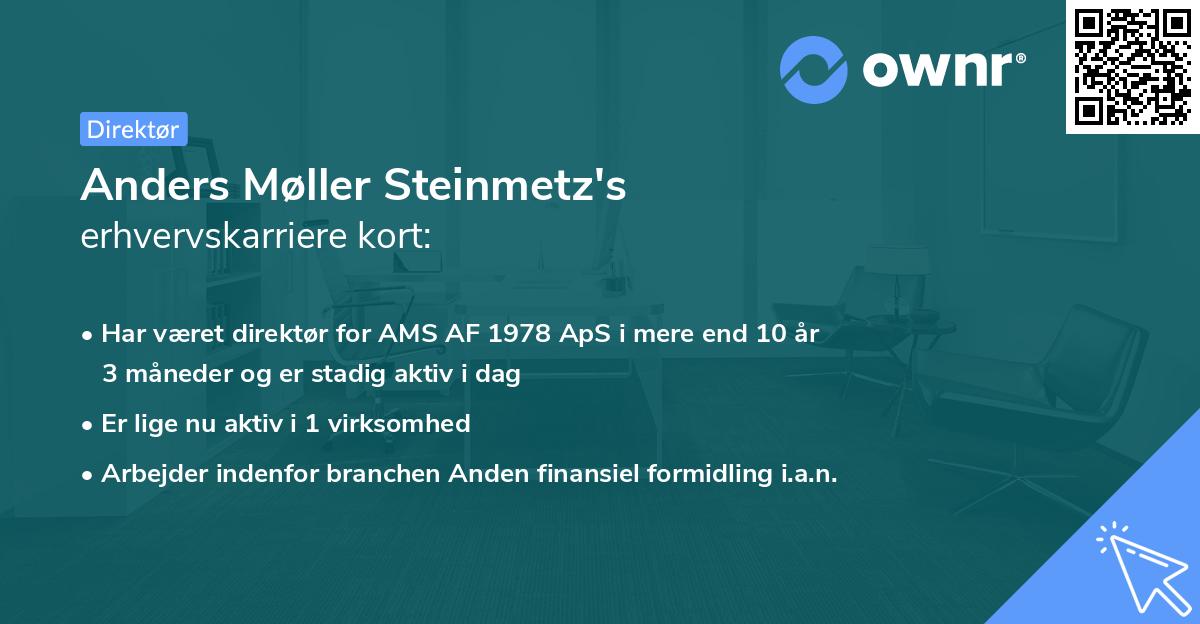 Anders Møller Steinmetz's erhvervskarriere kort