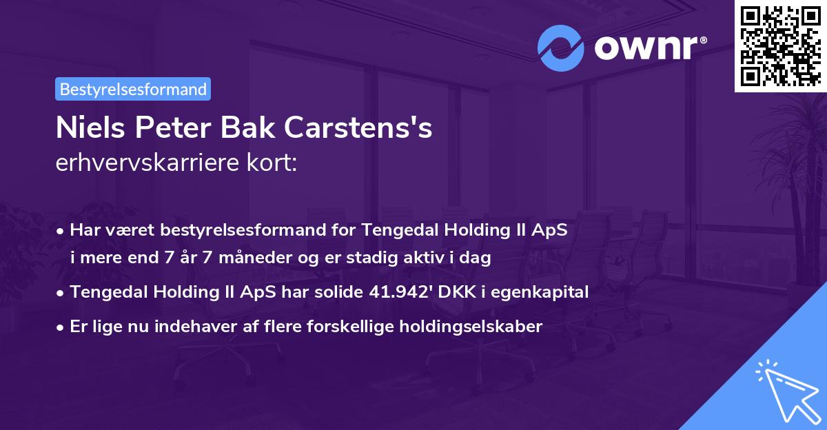 Niels Peter Bak Carstens's erhvervskarriere kort