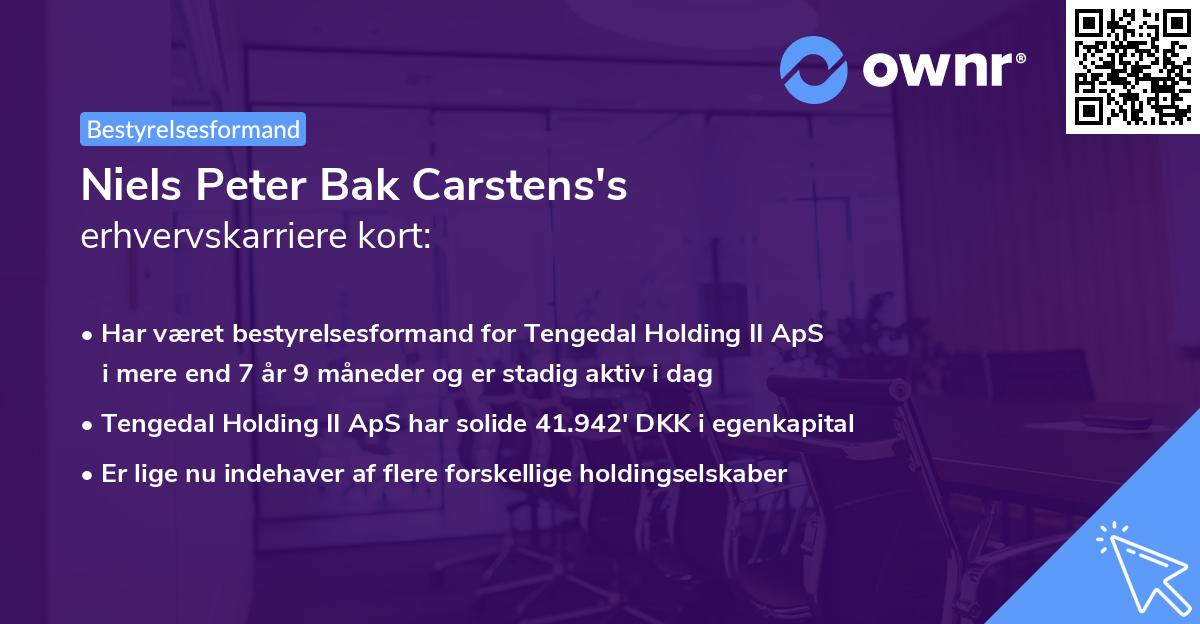 Niels Peter Bak Carstens's erhvervskarriere kort