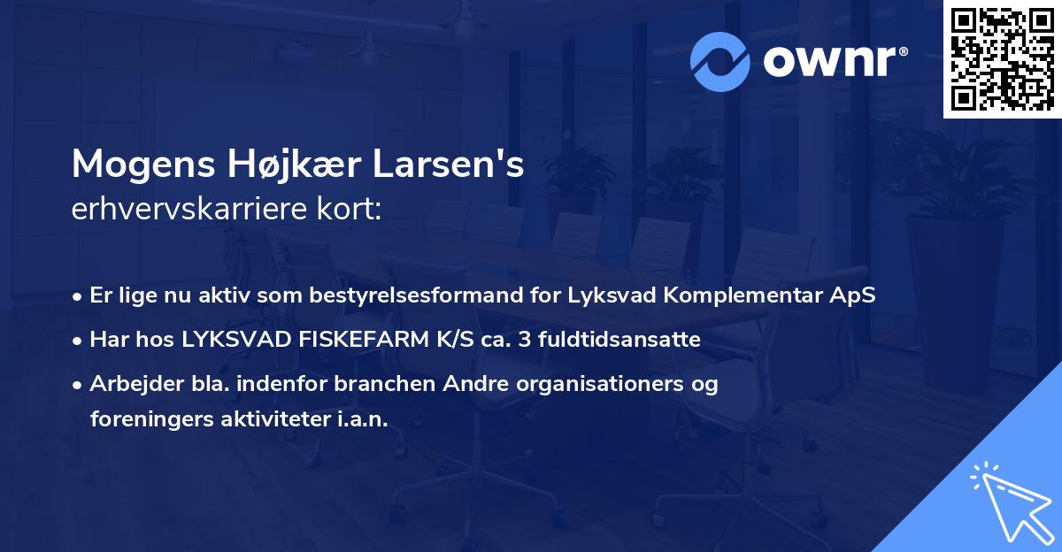 Mogens Højkær Larsen's erhvervskarriere kort