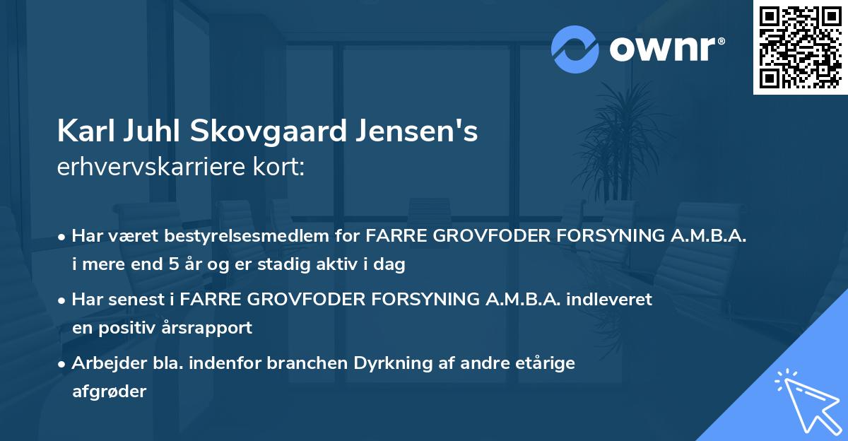 Karl Juhl Skovgaard Jensen's erhvervskarriere kort