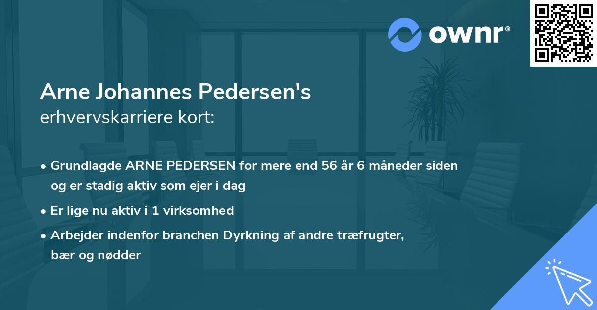 Arne Johannes Pedersen's erhvervskarriere kort