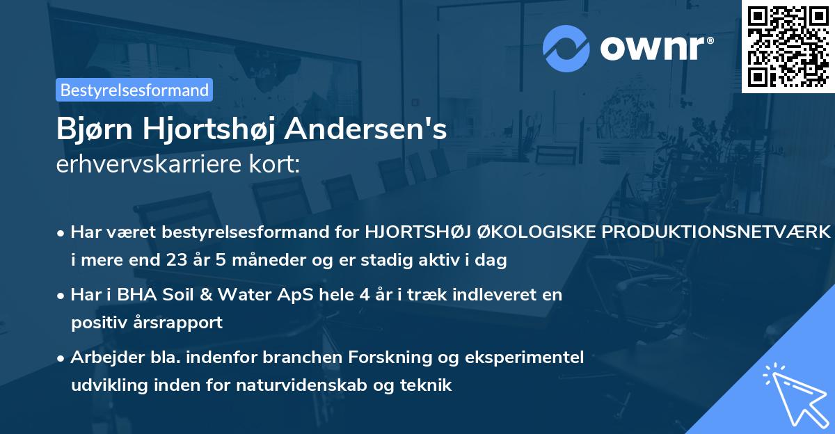 Bjørn Hjortshøj Andersen's erhvervskarriere kort
