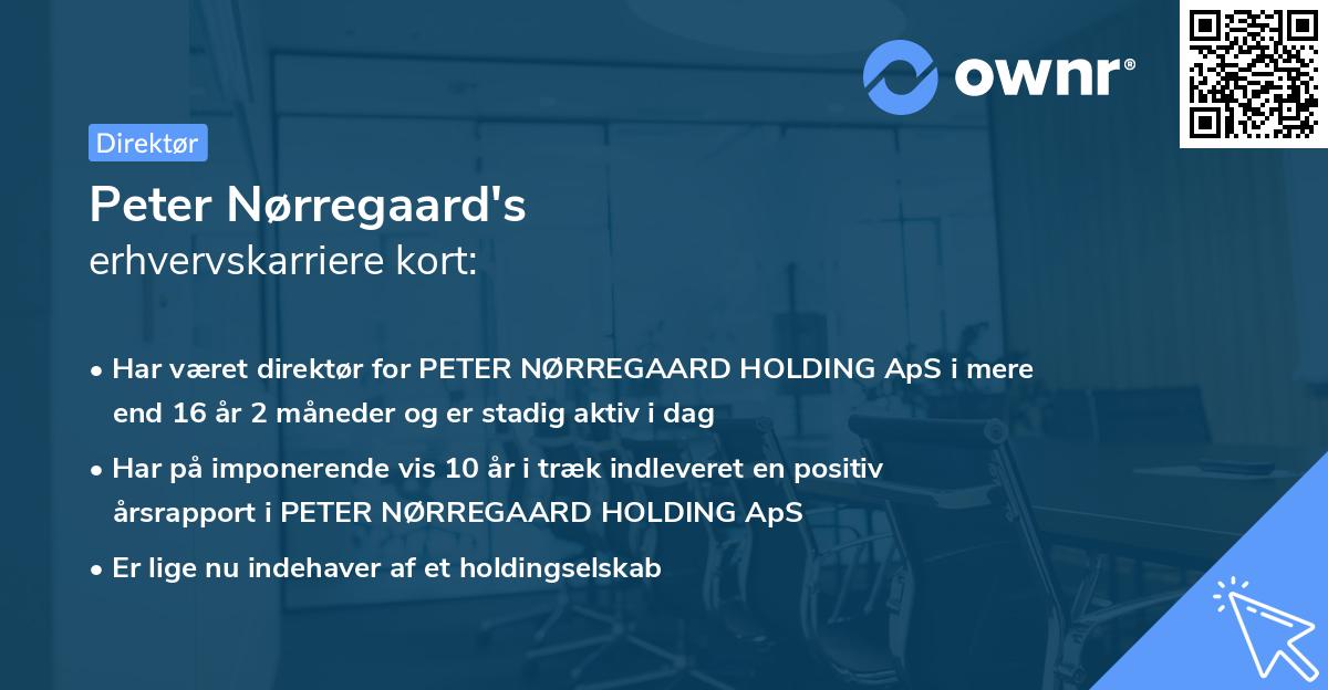 Peter Nørregaard's erhvervskarriere kort