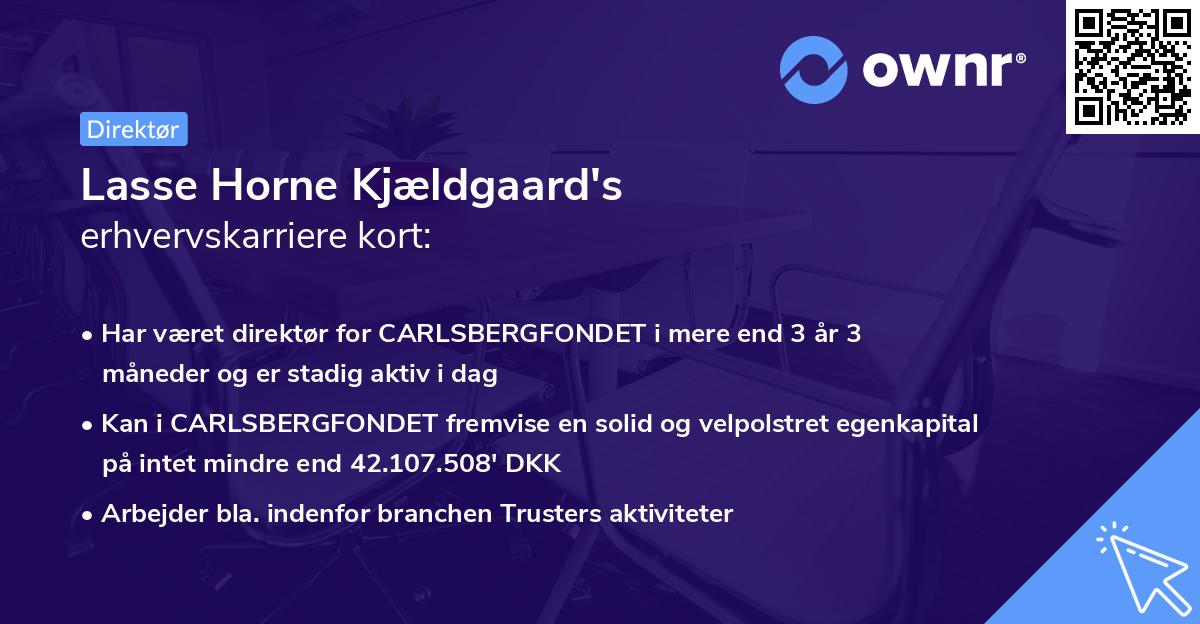 Lasse Horne Kjældgaard's erhvervskarriere kort