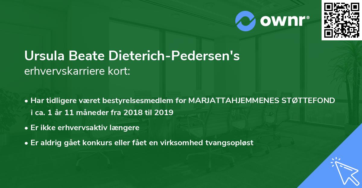 Ursula Beate Dieterich-Pedersen's erhvervskarriere kort