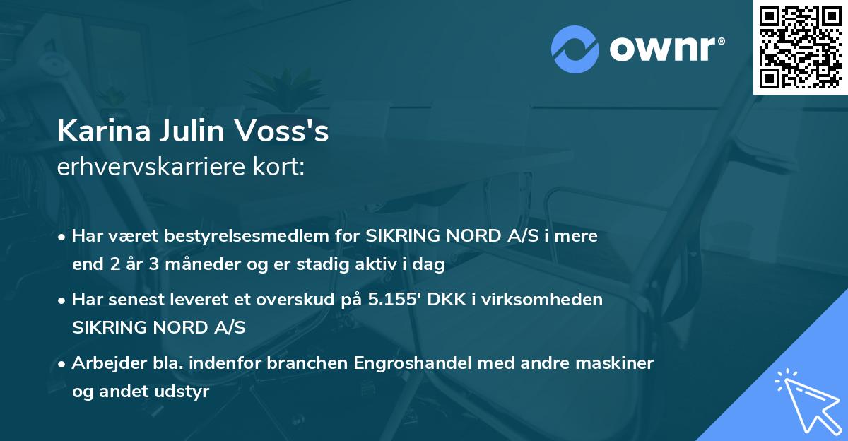 Karina Julin Voss's erhvervskarriere kort