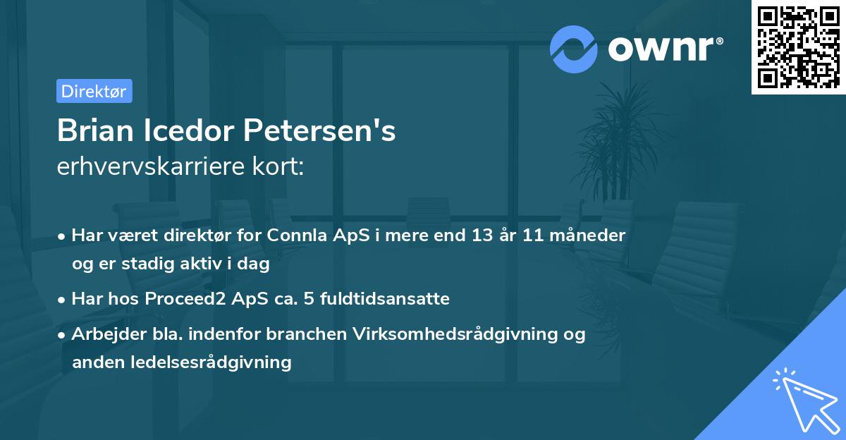 Brian Icedor Petersen's erhvervskarriere kort