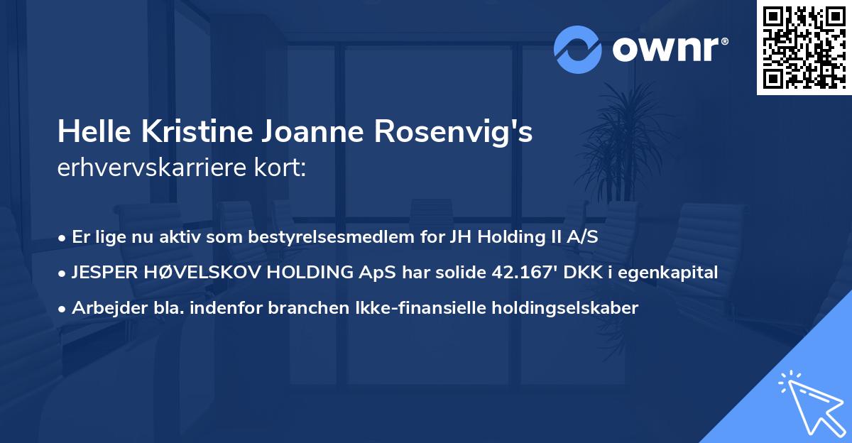 Helle Kristine Joanne Rosenvig's erhvervskarriere kort