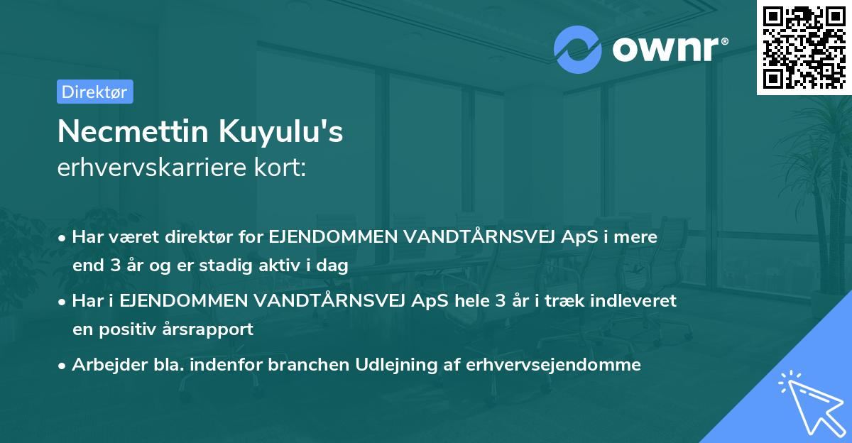 Necmettin Kuyulu's erhvervskarriere kort