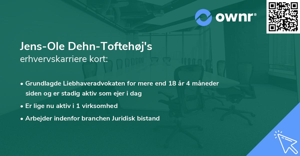 Jens-Ole Dehn-Toftehøj's erhvervskarriere kort