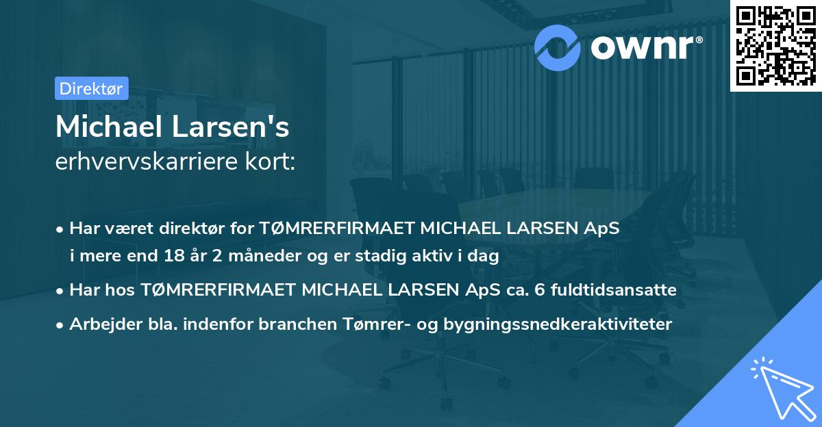 Michael Larsen's erhvervskarriere kort