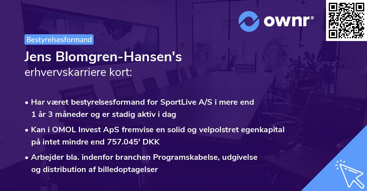 Jens Blomgren-Hansen's erhvervskarriere kort