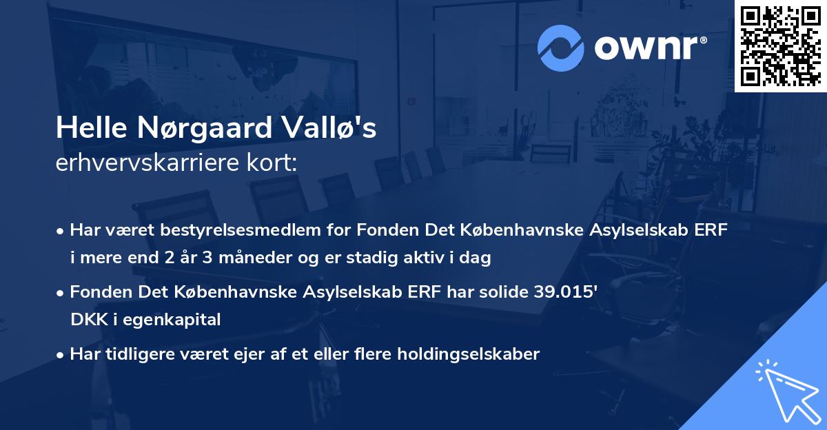 Helle Nørgaard Vallø's erhvervskarriere kort