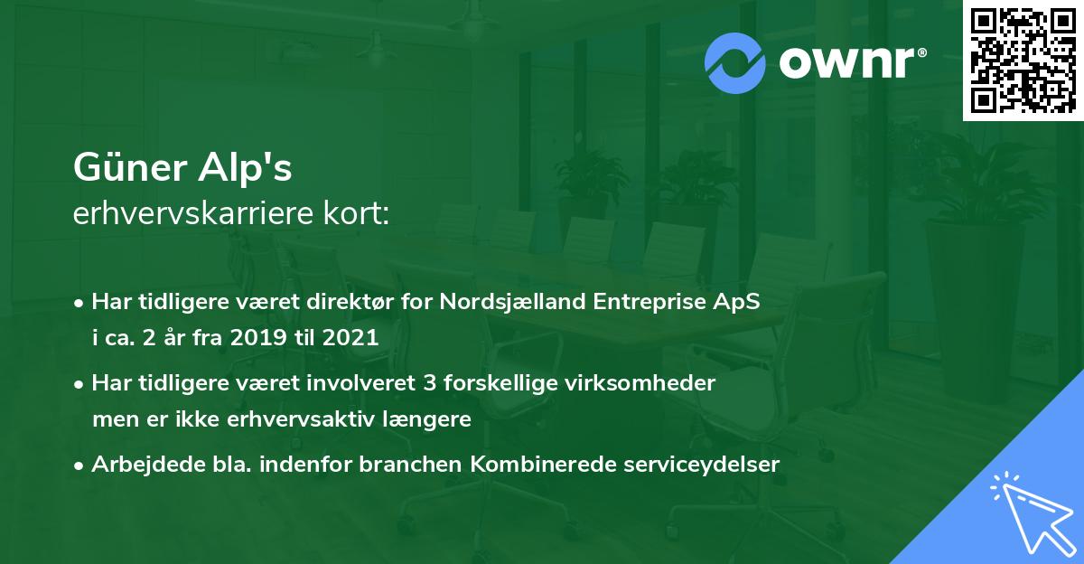Güner Alp's erhvervskarriere kort