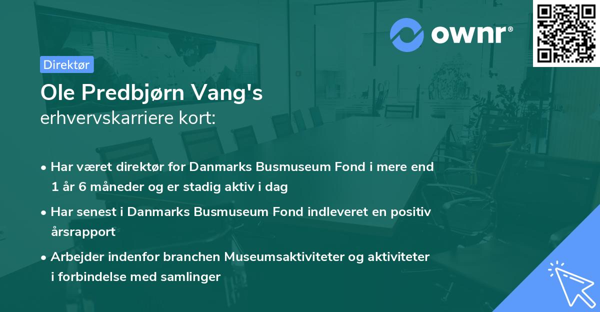 Ole Predbjørn Vang's erhvervskarriere kort