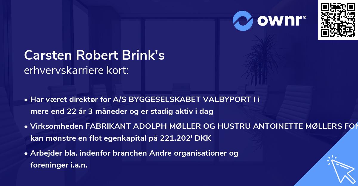 Carsten Robert Brink's erhvervskarriere kort