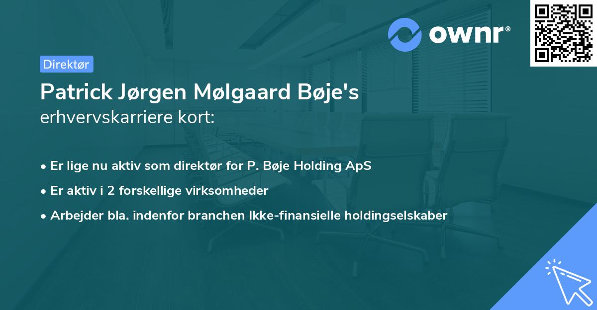 Patrick Jørgen Mølgaard Bøje's erhvervskarriere kort