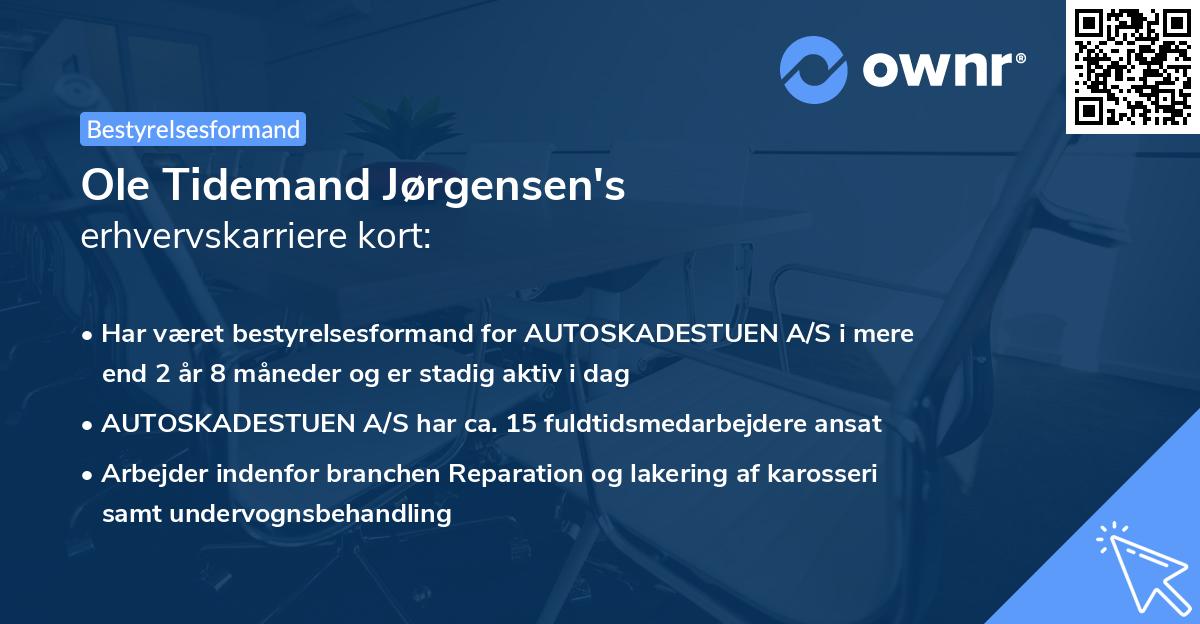 Ole Tidemand Jørgensen's erhvervskarriere kort