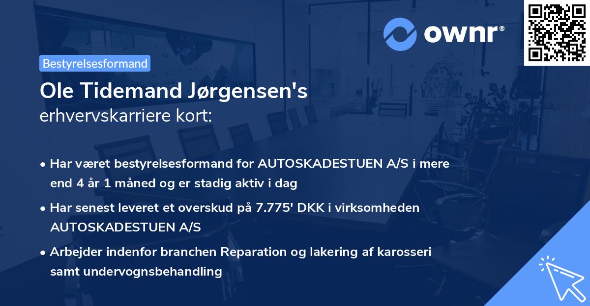Ole Tidemand Jørgensen's erhvervskarriere kort