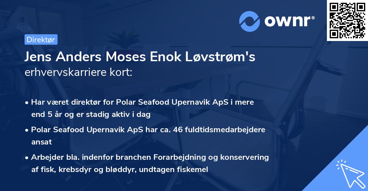 Jens Anders Moses Enok Løvstrøm's erhvervskarriere kort