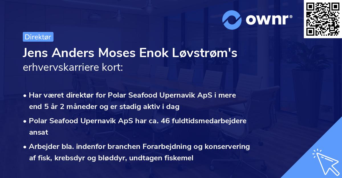 Jens Anders Moses Enok Løvstrøm's erhvervskarriere kort