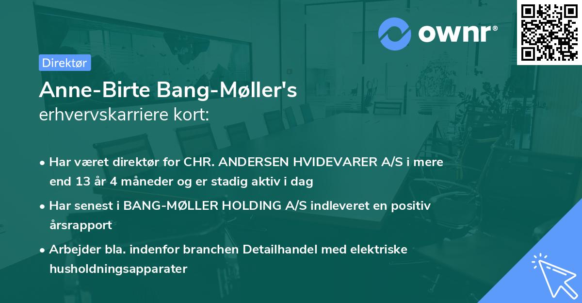 Anne-Birte Bang-Møller's erhvervskarriere kort