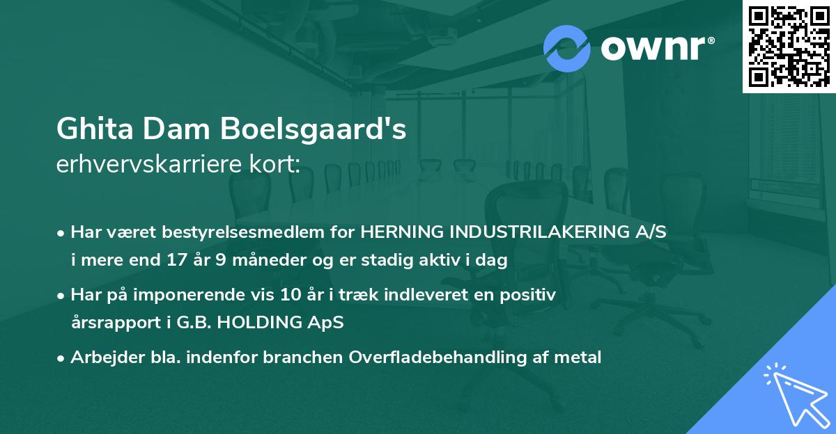 Ghita Dam Boelsgaard's erhvervskarriere kort