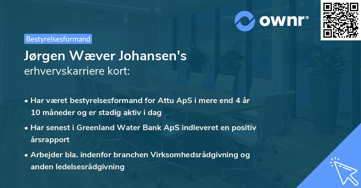 Jørgen Wæver Johansen's erhvervskarriere kort
