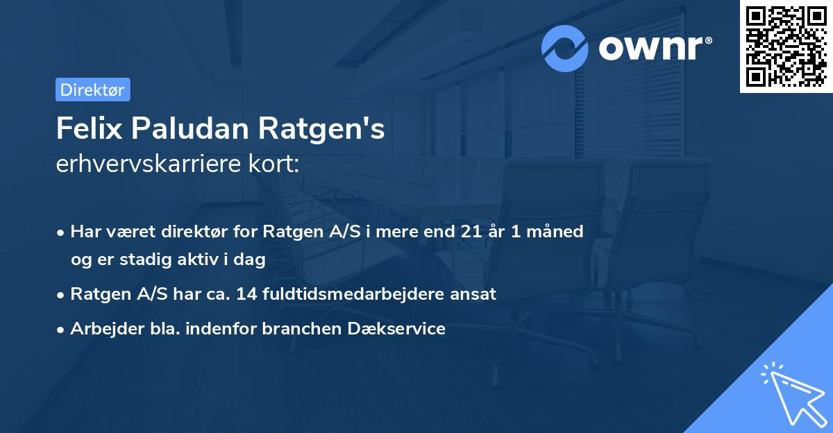 Felix Paludan Ratgen's erhvervskarriere kort