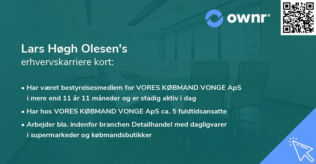 Lars Høgh Olesen's erhvervskarriere kort