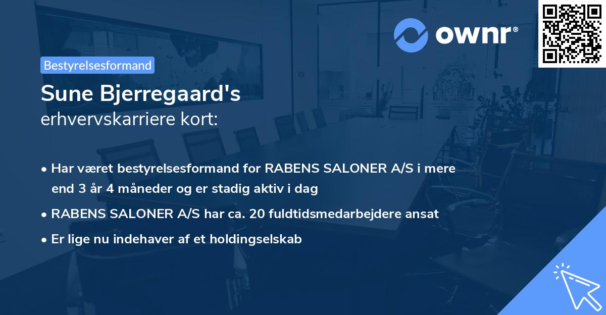 Sune Bjerregaard's erhvervskarriere kort