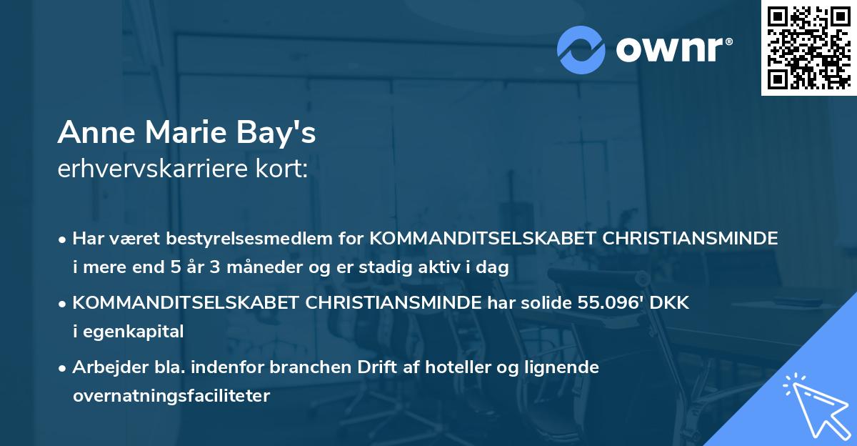 Anne Marie Bay's erhvervskarriere kort