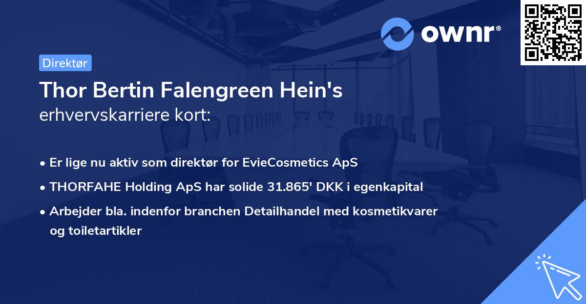 Thor Bertin Falengreen Hein's erhvervskarriere kort