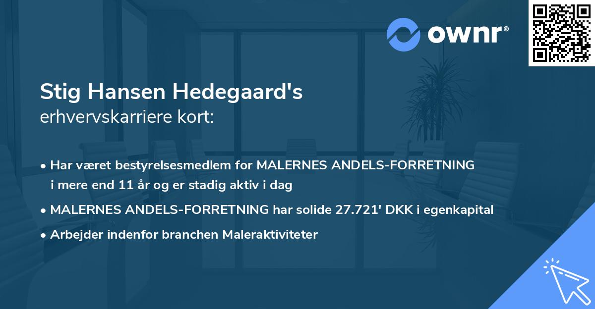 Stig Hansen Hedegaard's erhvervskarriere kort