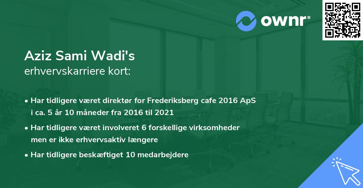 Aziz Sami Wadi's erhvervskarriere kort