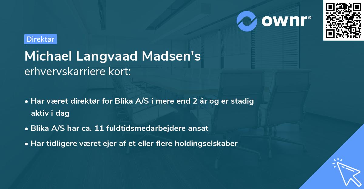 Michael Langvaad Madsen's erhvervskarriere kort